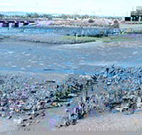 Jervois Basin Ships' Graveyard - Local Tourism