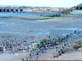 Jervois Basin Ships' Graveyard - Local Tourism 0