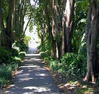 Adelaide Botanic Garden - Local Tourism