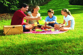 Alonnah TAS Accommodation Australia