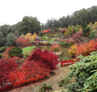 Emu Valley Rhododendron Garden - Local Tourism