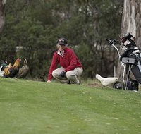 Tasmania Golf Club - The - Accommodation Australia