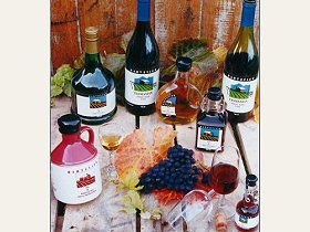 Hartzview Vineyard - Local Tourism 0