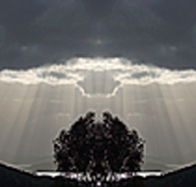 aart. Gallery of Fine Art - Accommodation Australia