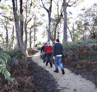Bridport Walking Track - Accommodation Australia