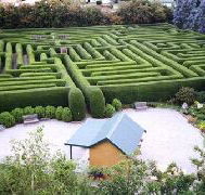Westbury Maze and Tea Room - Local Tourism