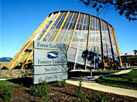 Cuckoo TAS Accommodation Australia