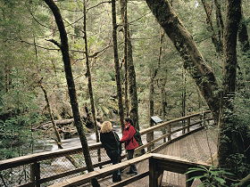 Franklin River Nature Trail - Local Tourism 0