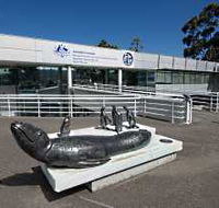 Australia's Antarctic Headquarters - Local Tourism