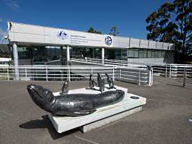 Australia's Antarctic Headquarters - Accommodation Australia 0