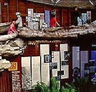 West Coast Visitor Information and Booking Centre - Local Tourism