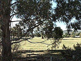 Cygnet Public Golf Course - Local Tourism 0