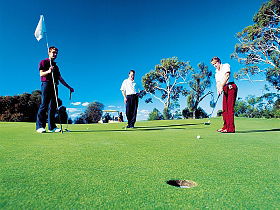 Mt Vista Golf Club - Local Tourism 0
