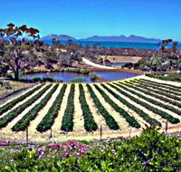 Kate's Berry Farm - Local Tourism
