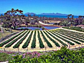 Kate's Berry Farm - Accommodation Australia 0