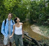 Mooloolah River National Park Jowarra Section - Local Tourism
