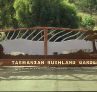 Tasmanian Bushland Garden - Local Tourism