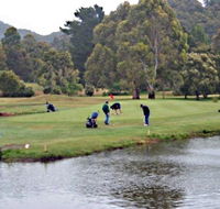 Penguin Golf Course - Local Tourism