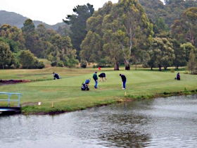 Penguin Golf Course - Local Tourism 0