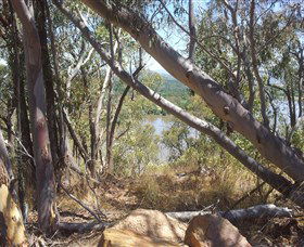 Black Mountain - Accommodation Australia 0