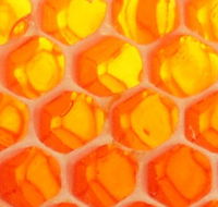 The Honey Pot - Accommodation Australia