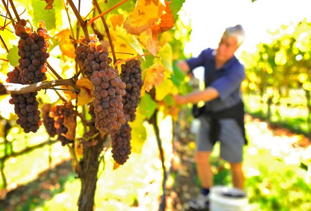 Windermere TAS Accommodation Australia