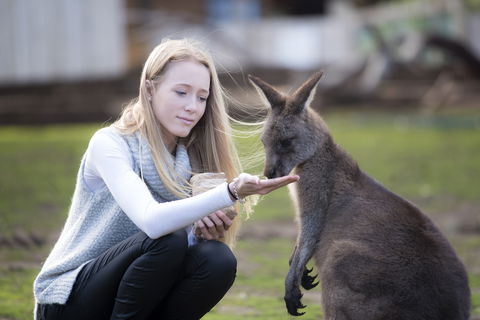 Bonorong Wildlife Sanctuary - Accommodation Australia 0