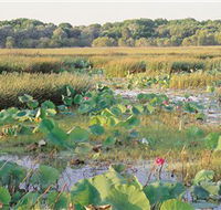 Fogg Dam Conservation Reserve - Local Tourism