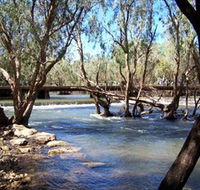 Low Level Nature Reserve - Local Tourism