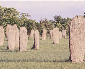 Magnetic Termite Mounds - Local Tourism 0