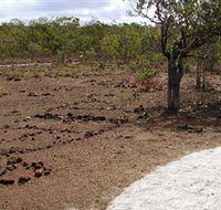 Wurrwurrwuy Garanhan Macassan Beach Interpretive Walk - Local Tourism