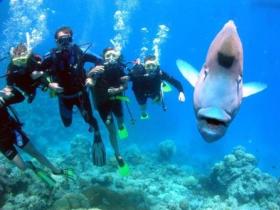 The Aarhus Dive Site - Local Tourism 0