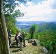 Gold Coast Hinterland Great Walk - Accommodation Australia