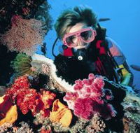 Cook Island Dive Site - Local Tourism