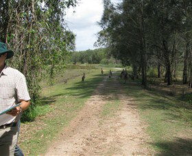 Coombabah QLD Accommodation Australia