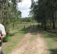 Coombabah Lakes Conservation Area - Local Tourism