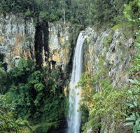 Gondwana Rainforests of Australia - Accommodation Australia