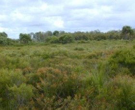 Pine Ridge Conservation Park - Accommodation Australia 0