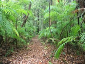 Mapleton QLD Accommodation Australia
