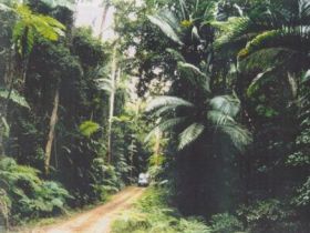 Conondale Great Walk - Local Tourism 0