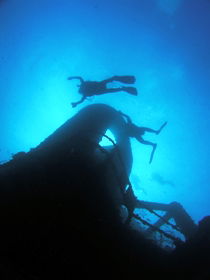 Ex HMAS Brisbane Dive Site - Accommodation Australia 0