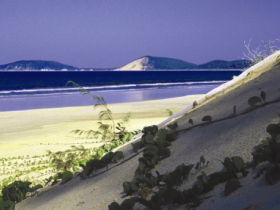 Cooloola, Great Sandy National Park - Accommodation Australia 0