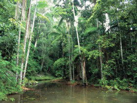Mount Allan Trail - Accommodation Australia 0