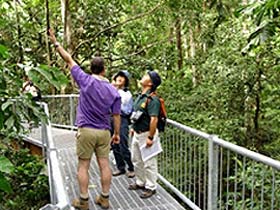 Daintree Discovery Centre - Accommodation Australia 0