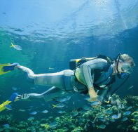 Tijou Reef - Australia Shopping
