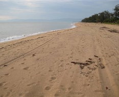 Book Yandina Creek QLD Attractions Accommodation Australia Accommodation Australia