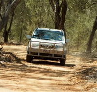 Ward River 4x4 Stock Route Trail - Local Tourism