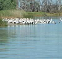 Lake Ross - Local Tourism