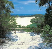 Lake Wabby Track - Local Tourism