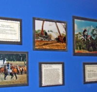 Town Hall Photographic Display - Local Tourism